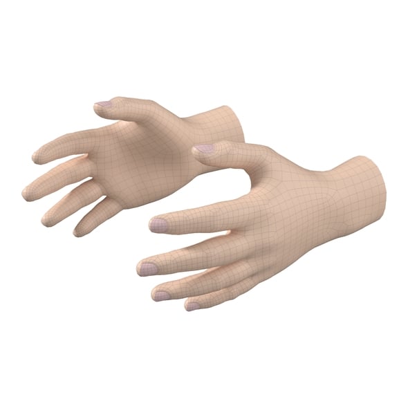 Male Hand Base Mesh 01 - 3DOcean Item for Sale