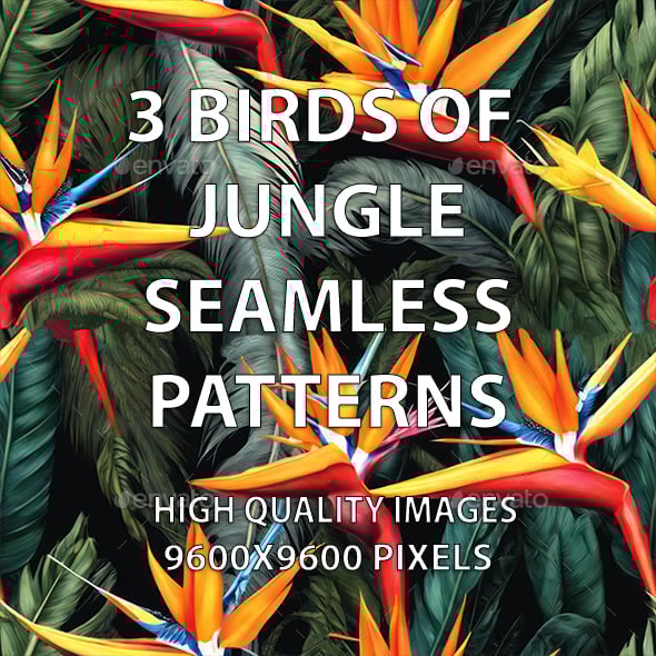 3 Birds of Jungle Seamless Patterns - 3DOcean Item for Sale