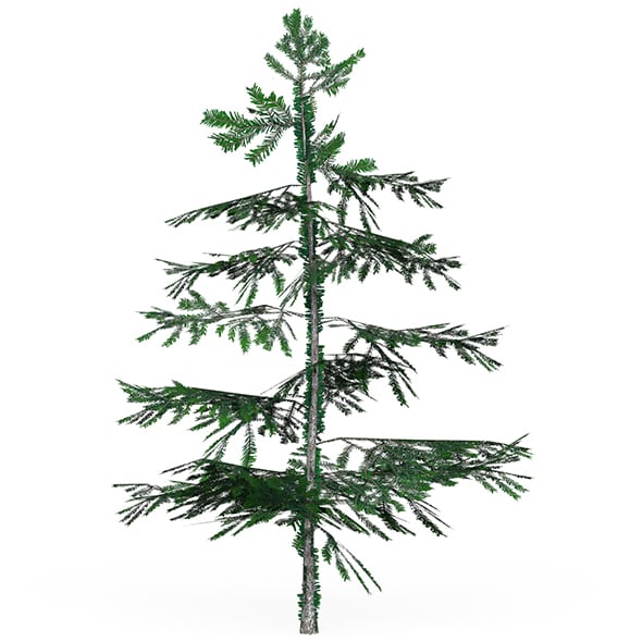 Low Poly Pine Tree 01 - 3DOcean Item for Sale