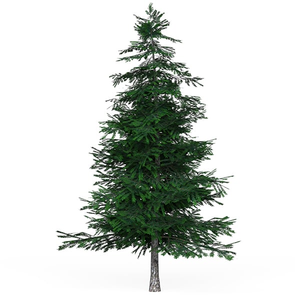 Low Poly Pine Tree 02 - 3DOcean Item for Sale