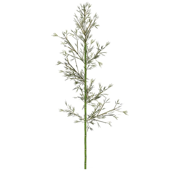 Realistic Low Poly Bamboo 01 - 3DOcean Item for Sale