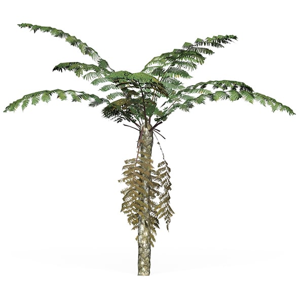 Game Ready Tree 09 - 3DOcean Item for Sale