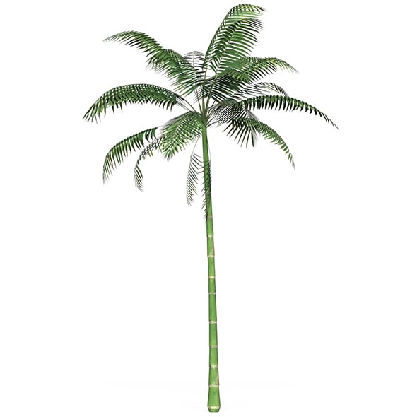 Game Ready Tree 10 - 3DOcean Item for Sale