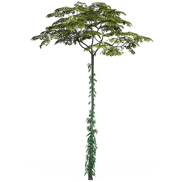 Game Ready Tree 17 - 3DOcean Item for Sale