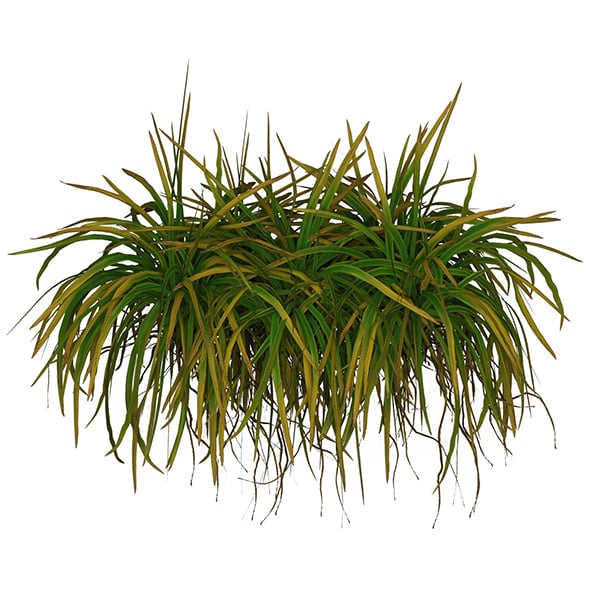 Game Ready Grass 02 - 3DOcean Item for Sale