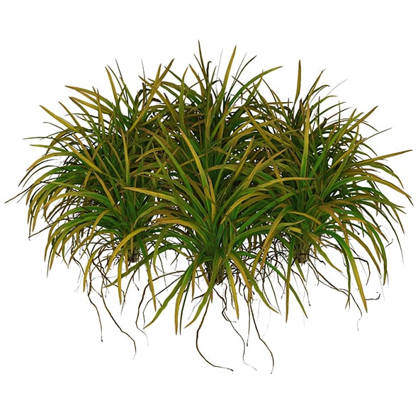 Game Ready Grass 03 - 3DOcean Item for Sale