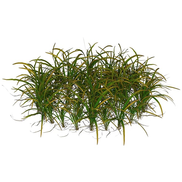 Game Ready Grass 05 - 3DOcean Item for Sale
