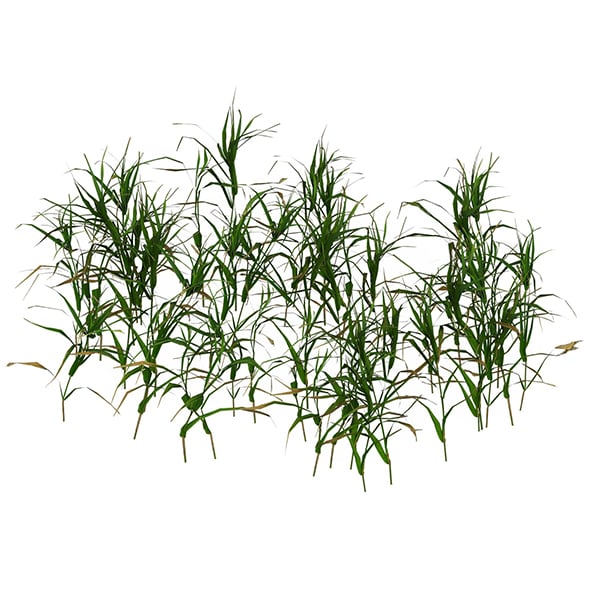 Game Ready Grass 06 - 3DOcean Item for Sale