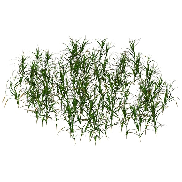 Game Ready Grass 07 - 3DOcean Item for Sale