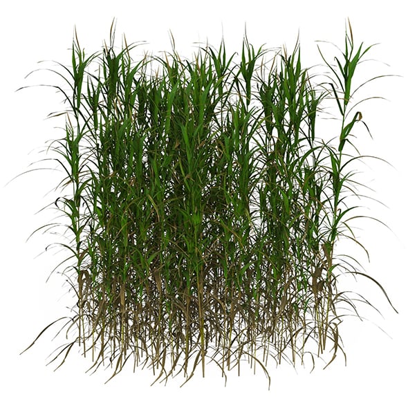 Game Ready Grass 08 - 3DOcean Item for Sale