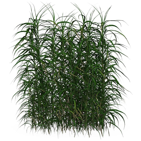 Game Ready Grass 09 - 3DOcean Item for Sale