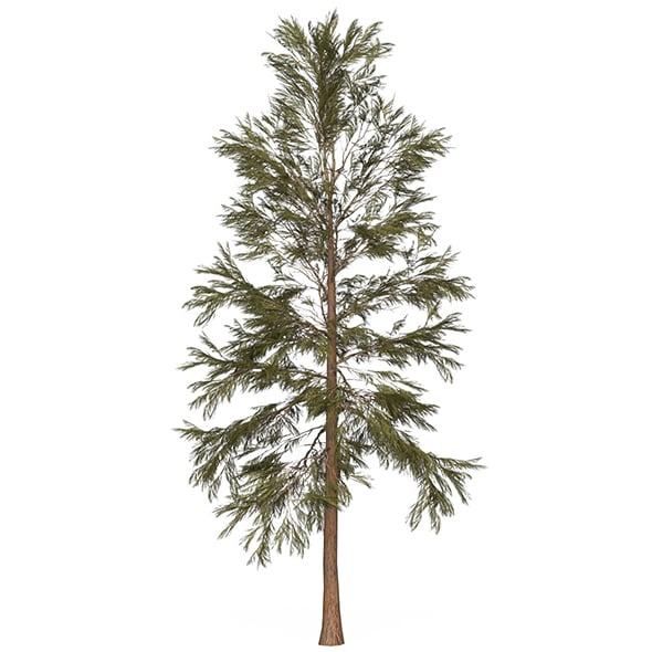 Game Ready Tree 32 - 3DOcean Item for Sale