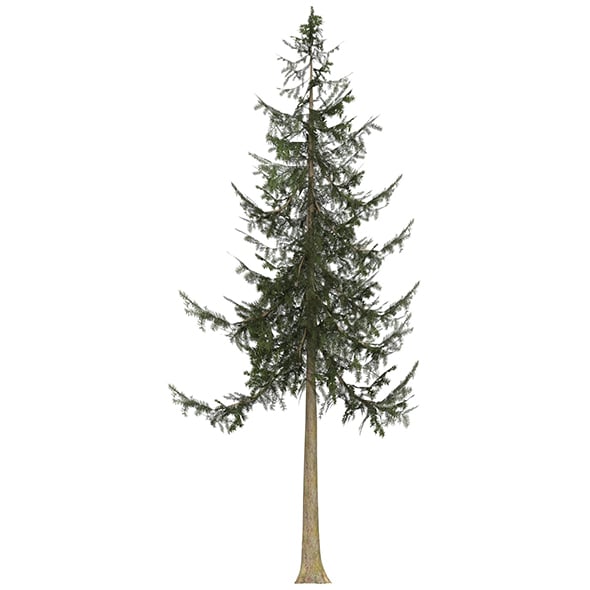 Game Ready Tree 33 - 3DOcean Item for Sale