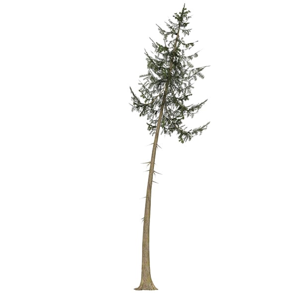 Game Ready Tree 38 - 3DOcean Item for Sale