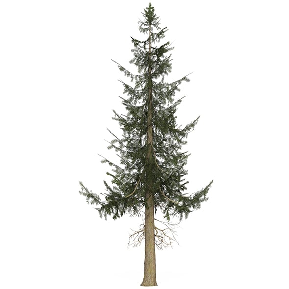 Game Ready Tree 39 - 3DOcean Item for Sale