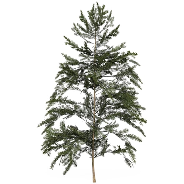 Game Ready Tree 42 - 3DOcean Item for Sale