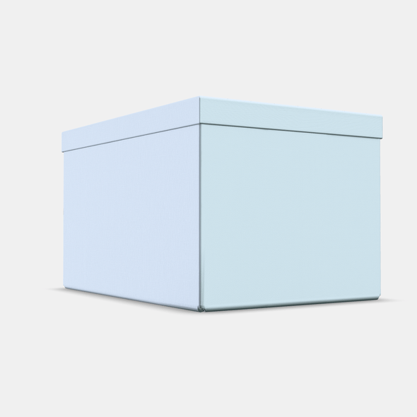 TJENA Storage box with lid - 3DOcean Item for Sale