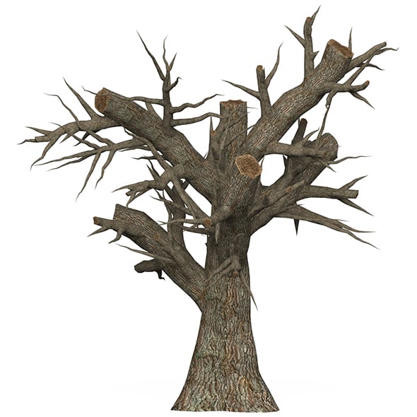 Game Ready Dead Tree 02 - 3DOcean Item for Sale