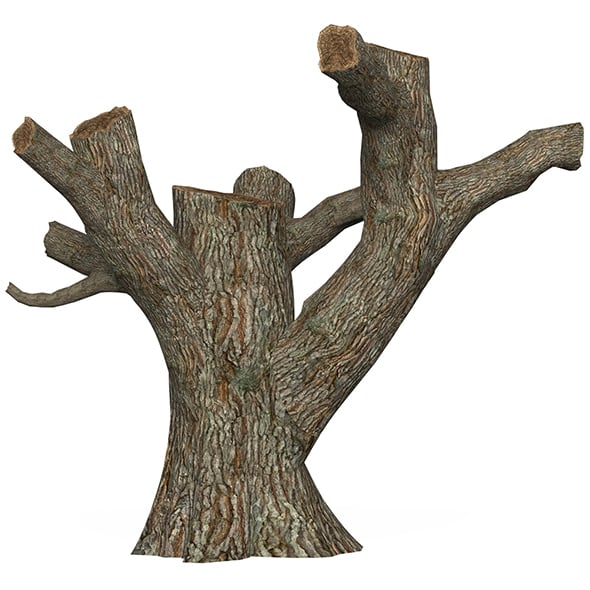 Game Ready Dead Tree 03 - 3DOcean Item for Sale