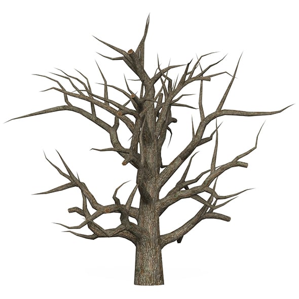 Game Ready Dead Tree 05 - 3DOcean Item for Sale