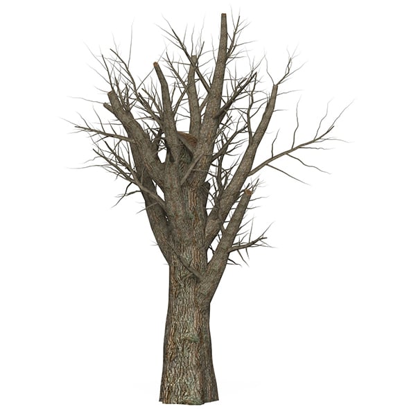 Game Ready Dead Tree 07 - 3DOcean Item for Sale