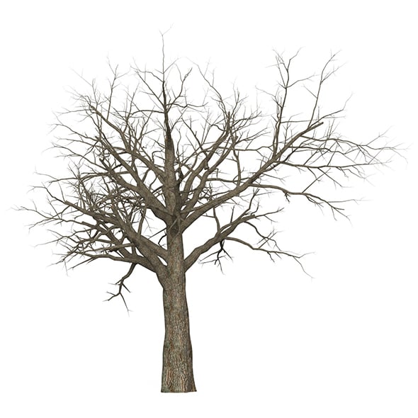 Game Ready Dead Tree 08 - 3DOcean Item for Sale