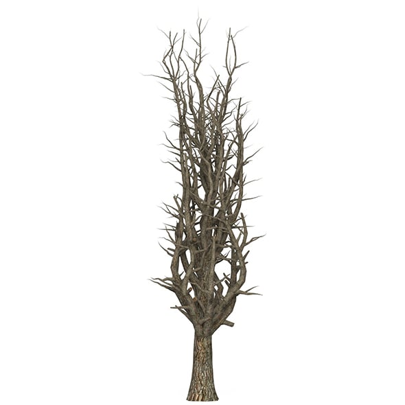 Game Ready Dead Tree 10 - 3DOcean Item for Sale