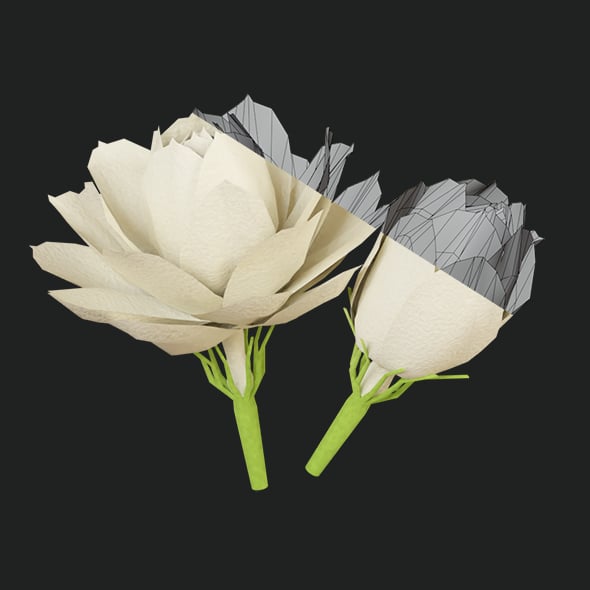 Jasmine Flower Low Poly - 3DOcean Item for Sale