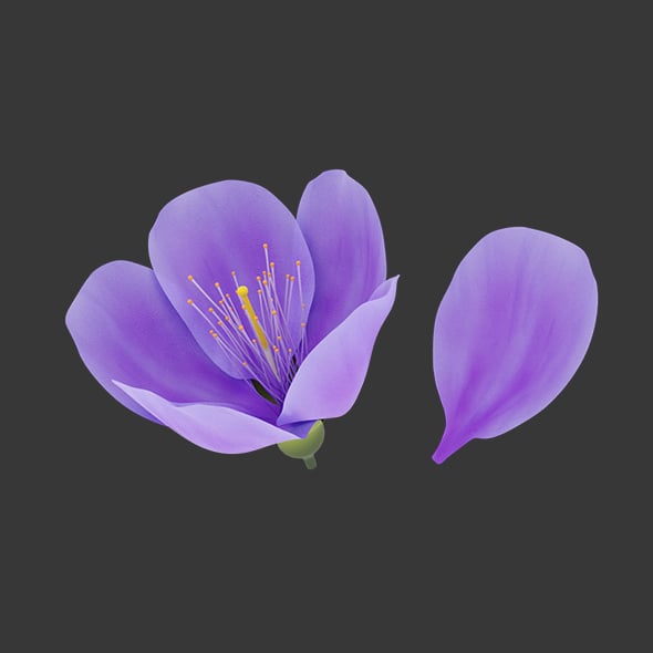 Purple Sakura Flower - 3DOcean Item for Sale