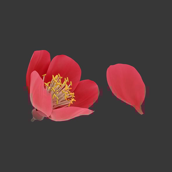 Red Sakura Flower - 3DOcean Item for Sale