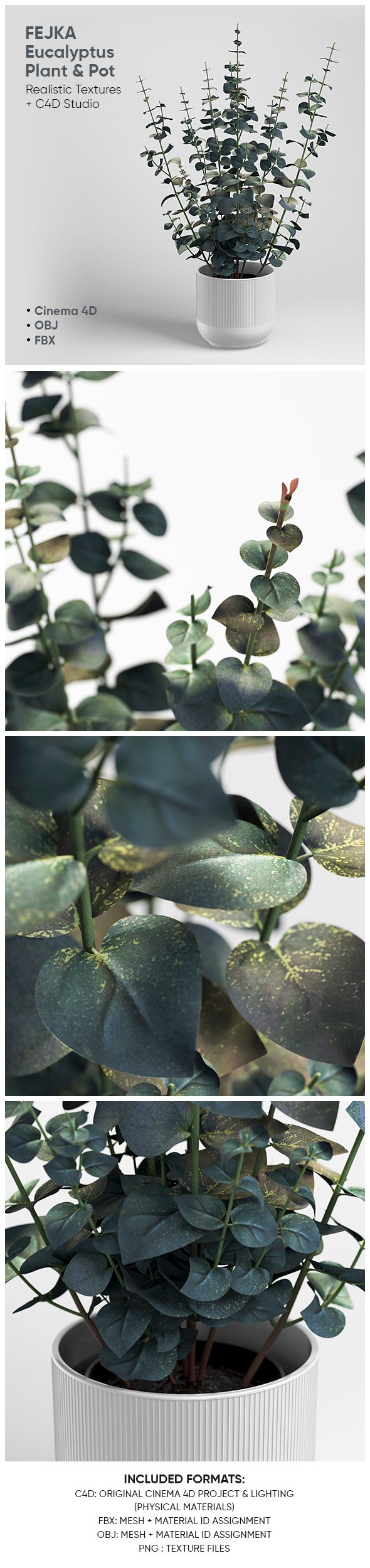 Realistic Eucalyptus Plant & Pot 3D Model - 3DOcean Item for Sale