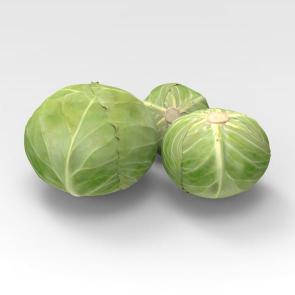 Cabbage - 3DOcean Item for Sale