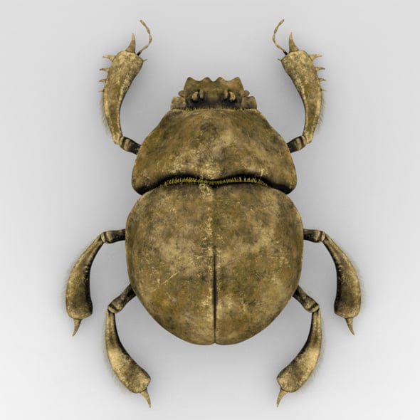 Golden Scarab - 3DOcean Item for Sale