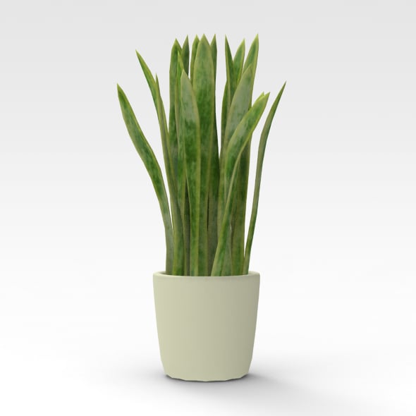 Potplant - 3DOcean Item for Sale