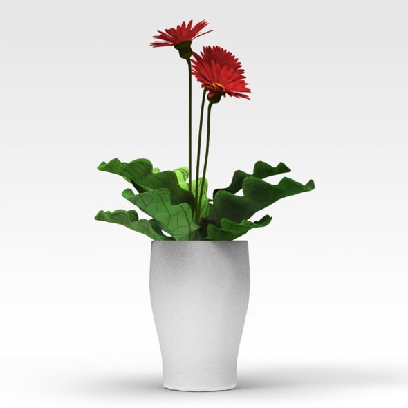 Potplant - 3DOcean Item for Sale