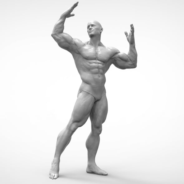 Bodybuilder - Pose Anatomy - 3DOcean Item for Sale