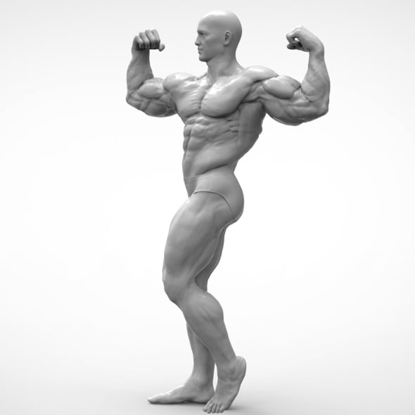Bodybuilder - Pose Anatomy - 3DOcean Item for Sale
