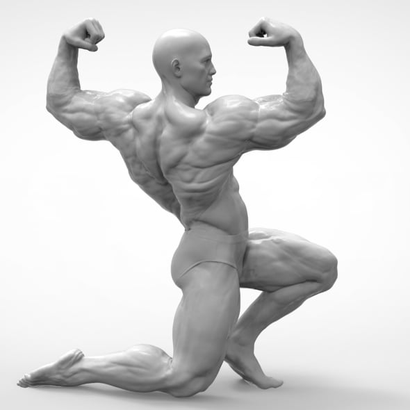 Bodybuilder - Pose Anatomy - 3DOcean Item for Sale