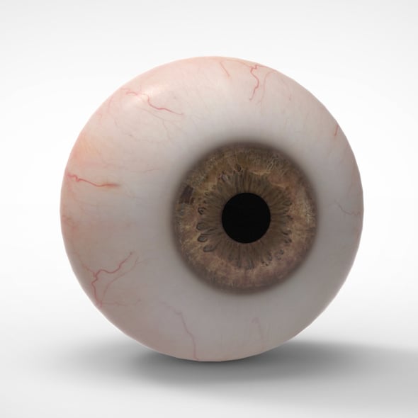 Realistic Eye - 3DOcean Item for Sale