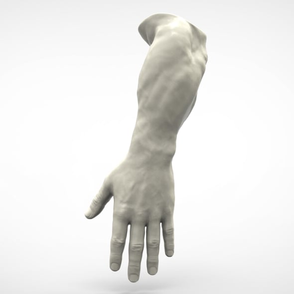 Realistic Human Hand - 3DOcean Item for Sale
