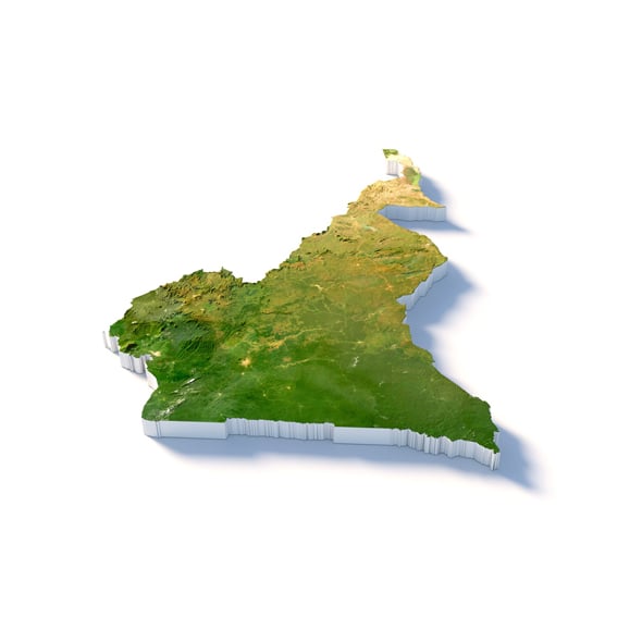 Cameroon Terrain Map - 3DOcean Item for Sale