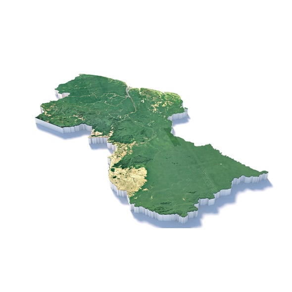 Guyana Terrain Map - 3DOcean Item for Sale