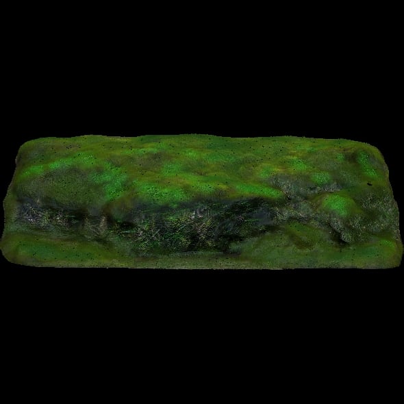 Rock Moss V4_01 - 3DOcean Item for Sale