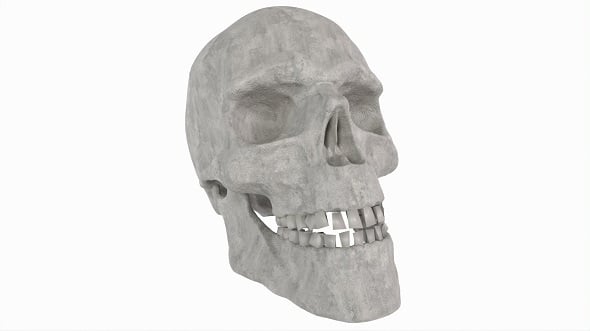 Human Skull - 3DOcean Item for Sale