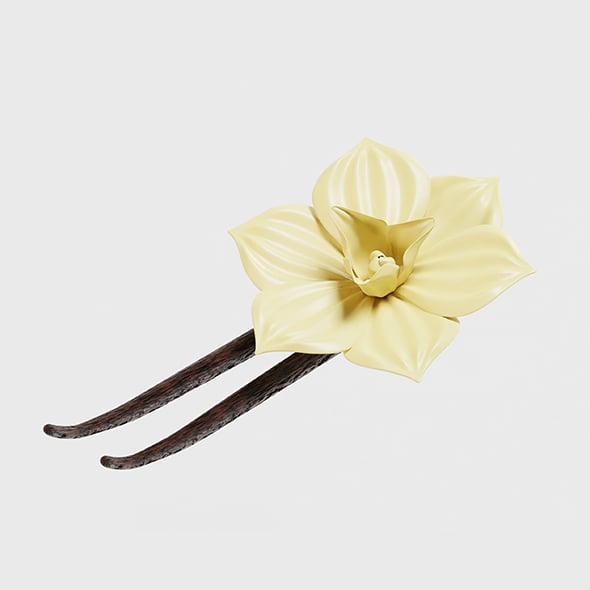 Vanilla flower - 3DOcean Item for Sale