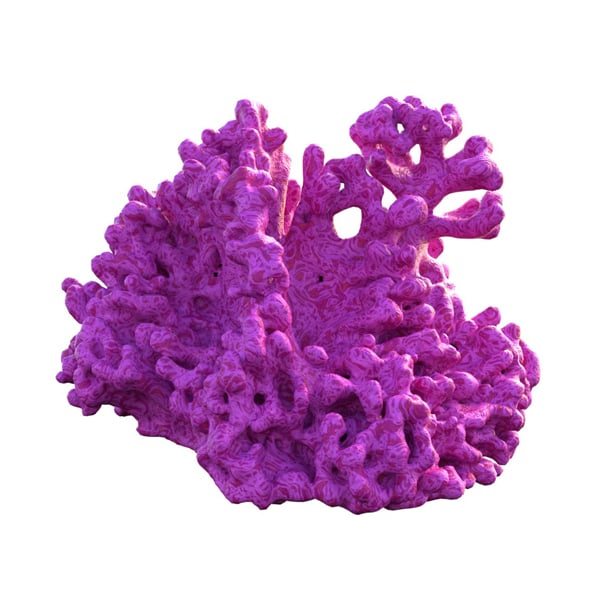 Coral reef v2 - 3DOcean Item for Sale