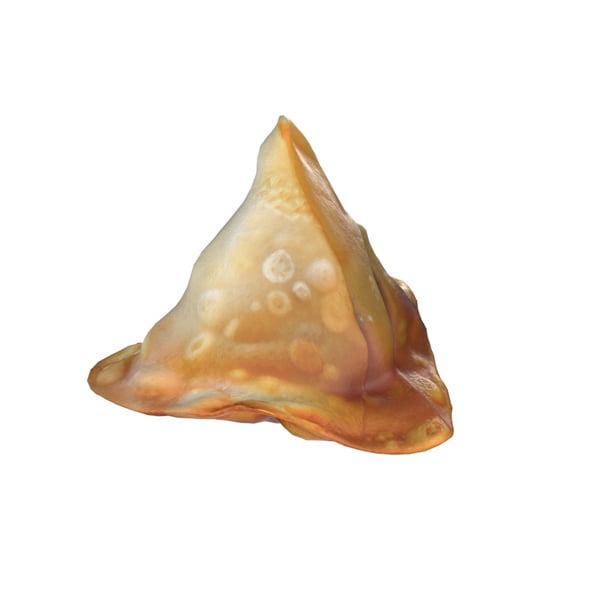 Samosa - 3DOcean Item for Sale
