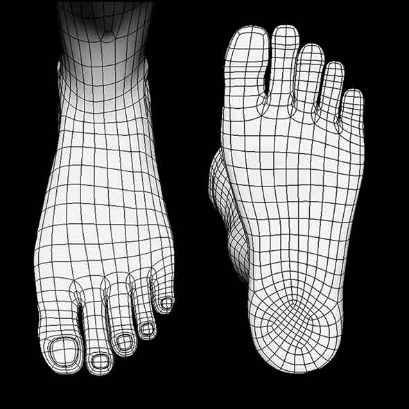 Human Leg Low Poly Base Mesh by Gureyt | 3DOcean