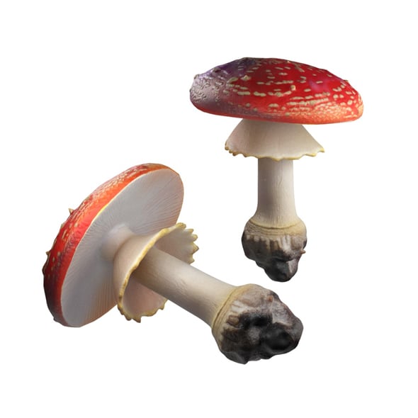Mushroom 3 - 3DOcean Item for Sale