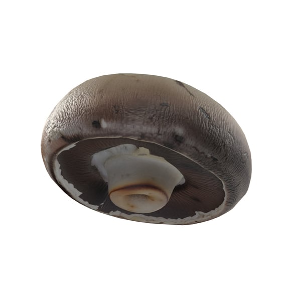 Mushroom 9 - 3DOcean Item for Sale
